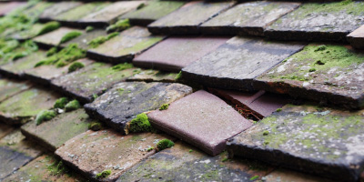Speke roof repair costs
